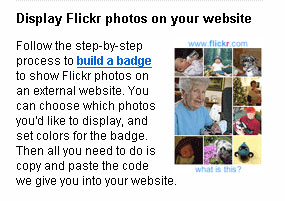 Flickr badge