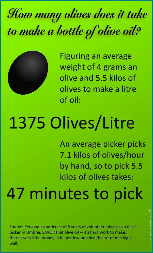 How many olives to make a bottle of oil? No Passengers